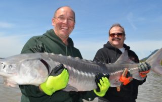 Fraser River, Sturgeon Fishing, Fishing, Vancouver, Chilliwack, Fly Fishing