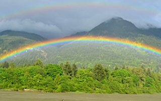 Fraser River, Rainbow, Vancouver Tourism, Fishing, Sturgeon, Chillwack, Hope