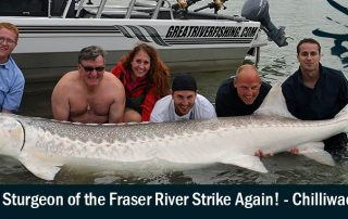 Record Sturgeon