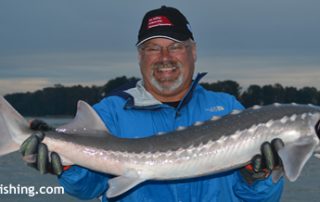 Sturgeon Fishing on the Fraser River