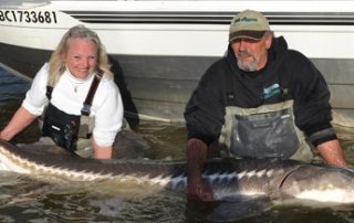 Fraser River Sturgeon FIshing