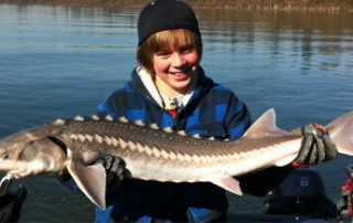 Sturgeon Fishing on the Fraser River
