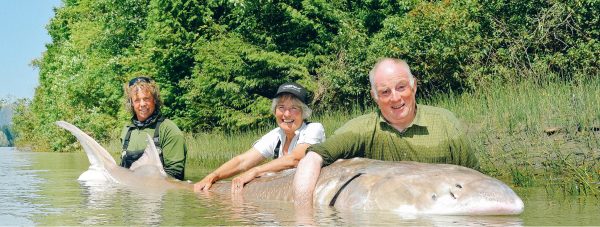 Fishing reports, news, and more from the river