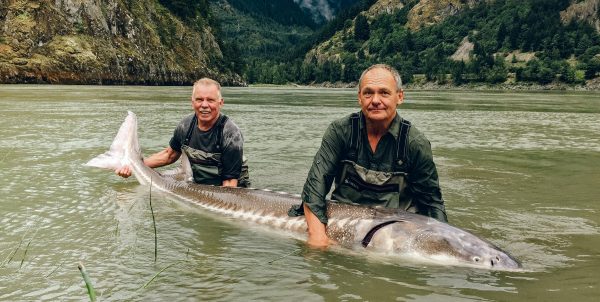 Great River Fishing Adventures giant sturgeon catch.