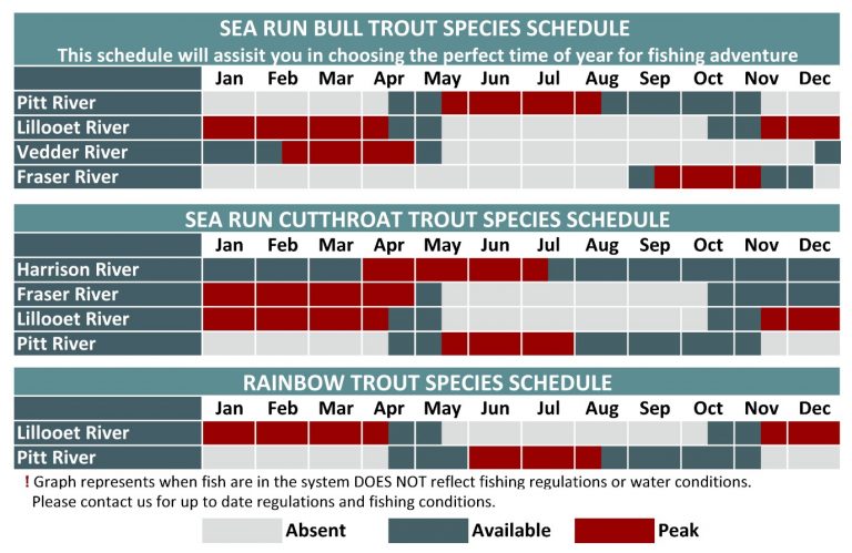 Trout - Great River Fishing Adventures Trout - Great River Fishing Adventures