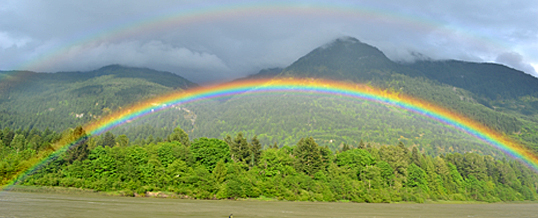 Fraser River, Rainbow, Vancouver Tourism, Fishing, Sturgeon, Chillwack, Hope
