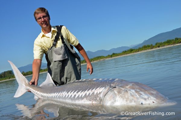 Sturgeon Fishing